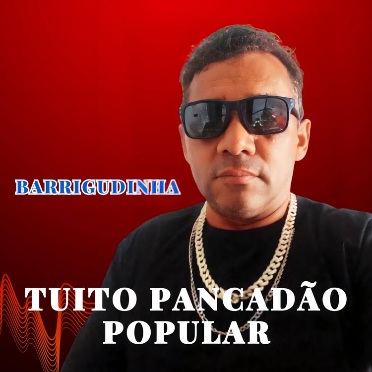 Tuito Pancadão Popular's avatar image