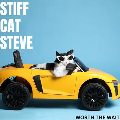 Stiff Cat Steve's cover