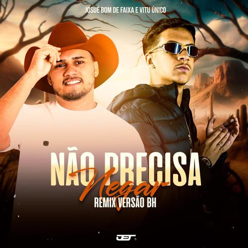 Nao Precisa Negar (Versao Bh)'s cover