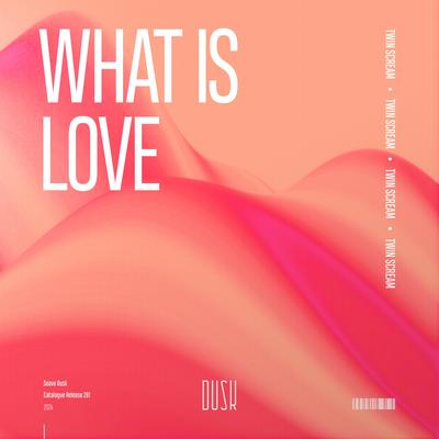 What Is Love By Twin Scream's cover