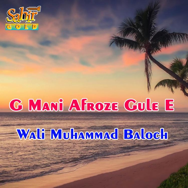 Wali Muhammad Baloch's avatar image