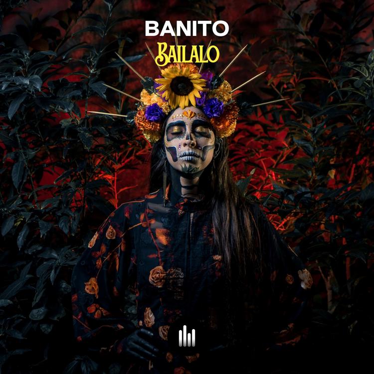 Banito's avatar image