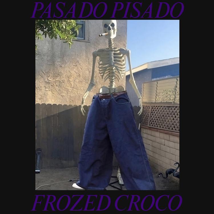 frozed croco's avatar image