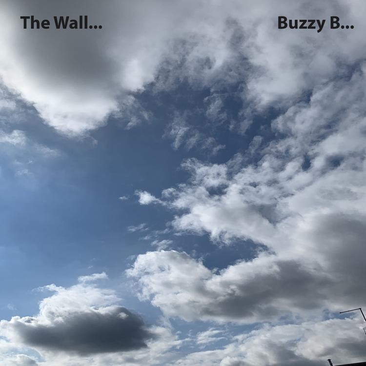 Buzzy B's avatar image