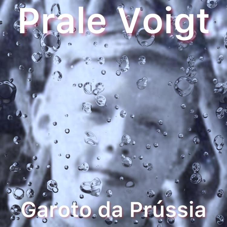 Prale Voigt's avatar image