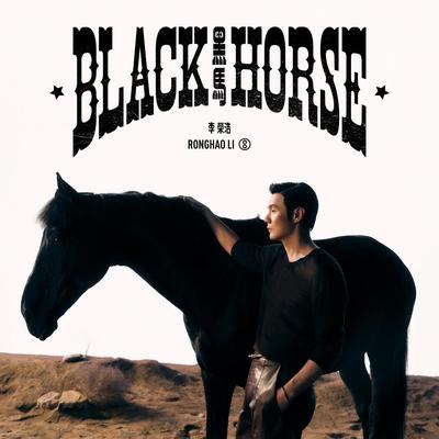 Black Horse By Ronghao Li's cover