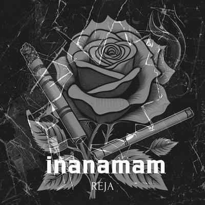 İNANAMAM's cover