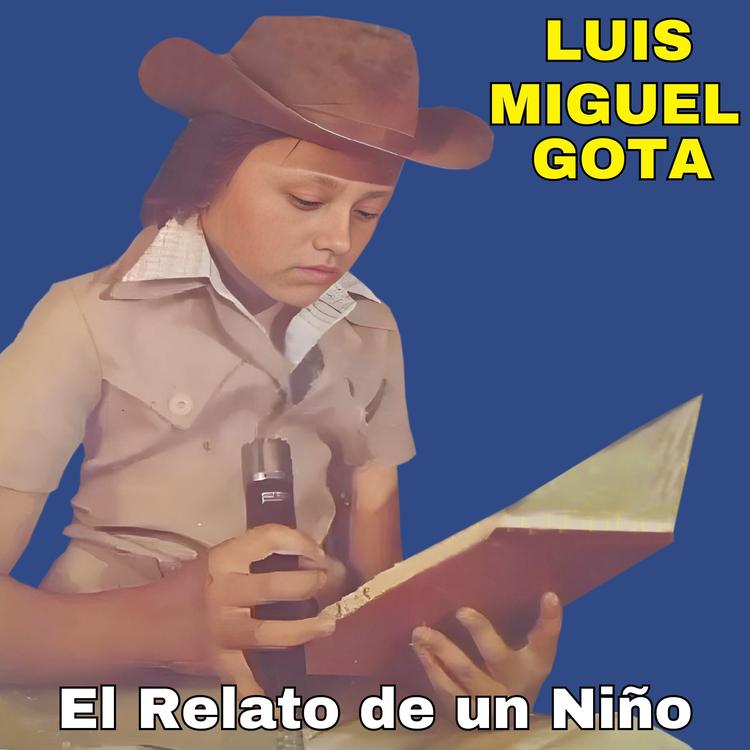 Luís Miguel Gota's avatar image