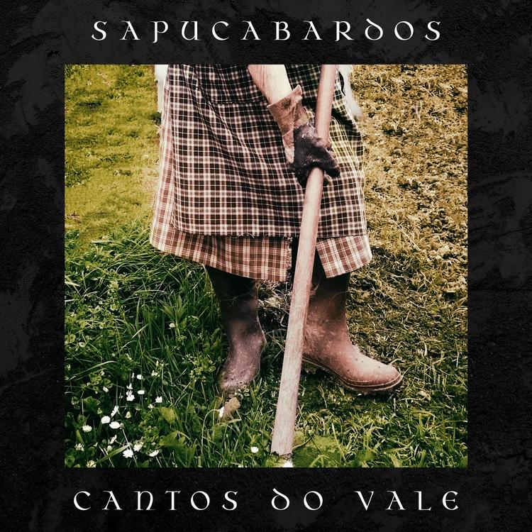 Sapucabardos's avatar image