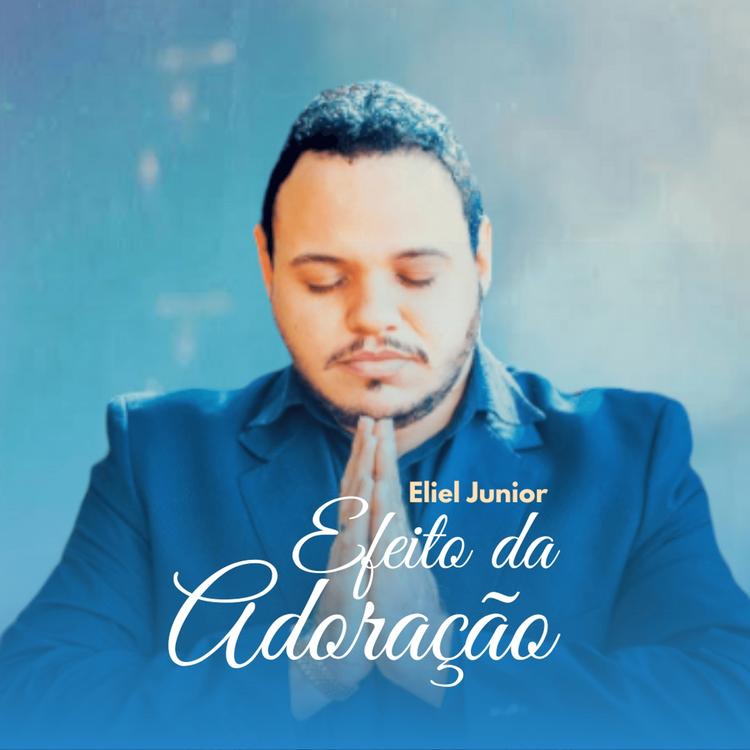 Eliel Júnior's avatar image