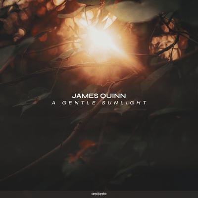 A Gentle Sunlight By James Quinn's cover