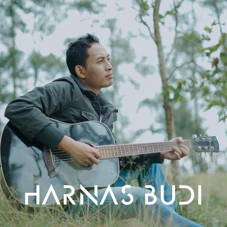 Harnas Budi's avatar image