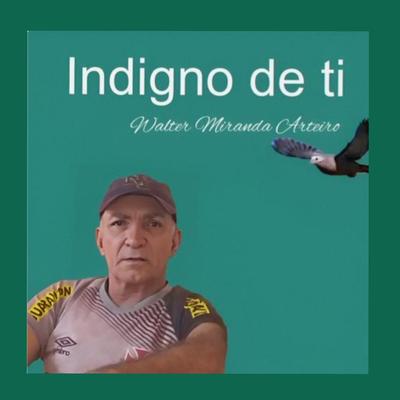 Walter Miranda Arteiro's cover