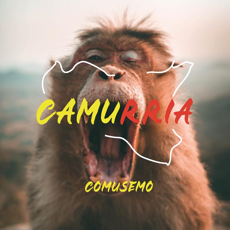 Comusemo's avatar image