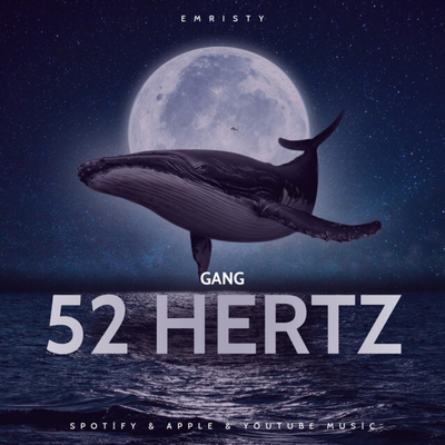 52 Hertz Gang's cover