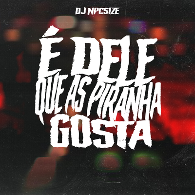 É DELE QUE AS PIRANHA GOSTA By DJ NpcSize, Mc Larissa, MC Danny's cover