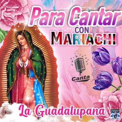 Nochecitas Mexicanas (Instrumental)'s cover