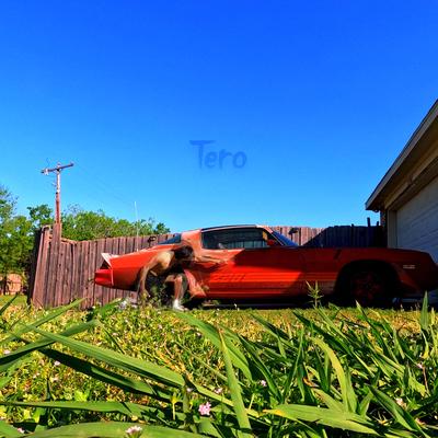 Tero's cover