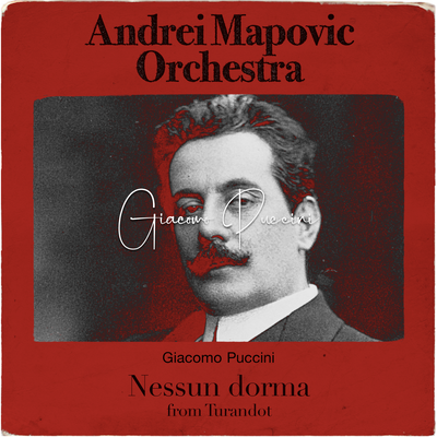 Puccini: Nessun Dorma from Turandot's cover
