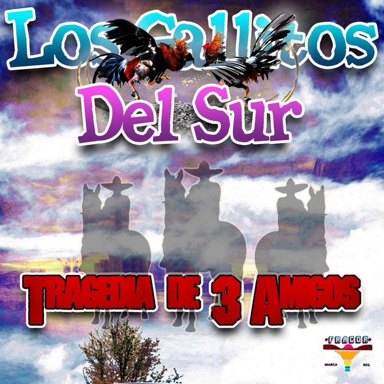 Los Gallitos Del Sur's avatar image