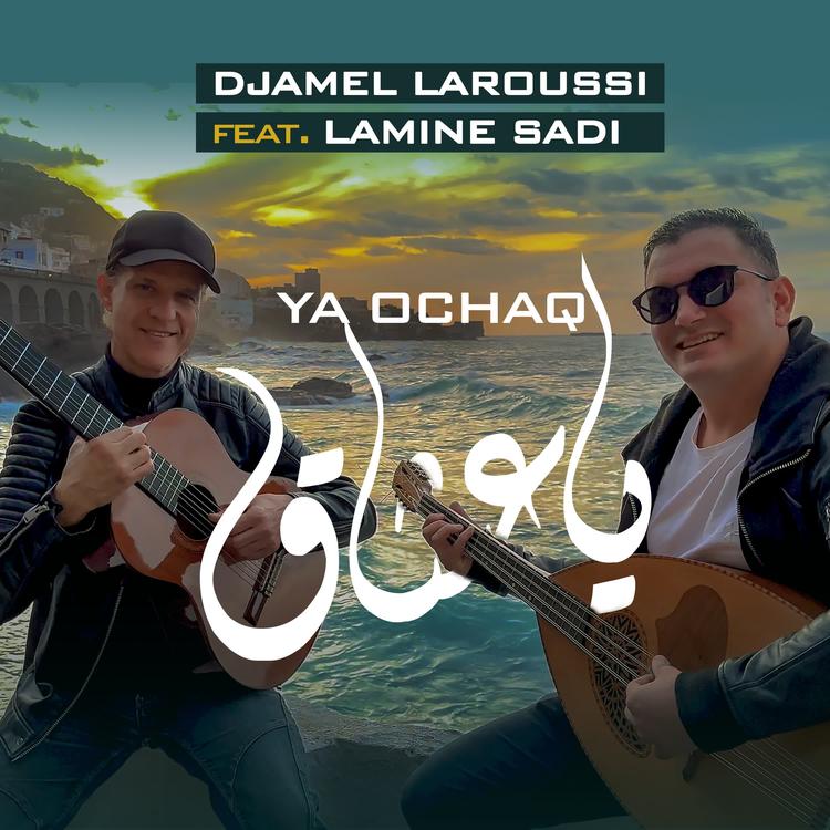 Djamel Laroussi's avatar image