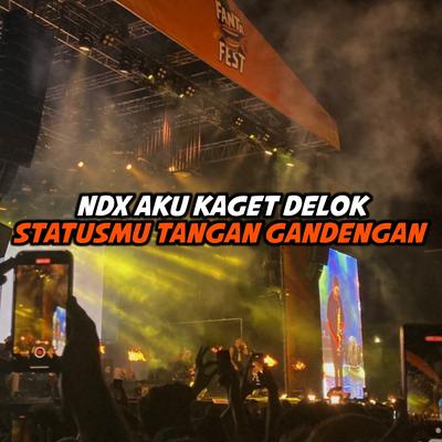 NDX AKU KAGET DELOK STATUSMU TANGAN GANDENGAN (Remix)'s cover