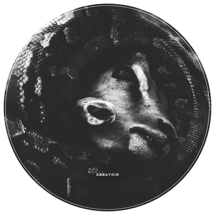 Brälle's avatar image