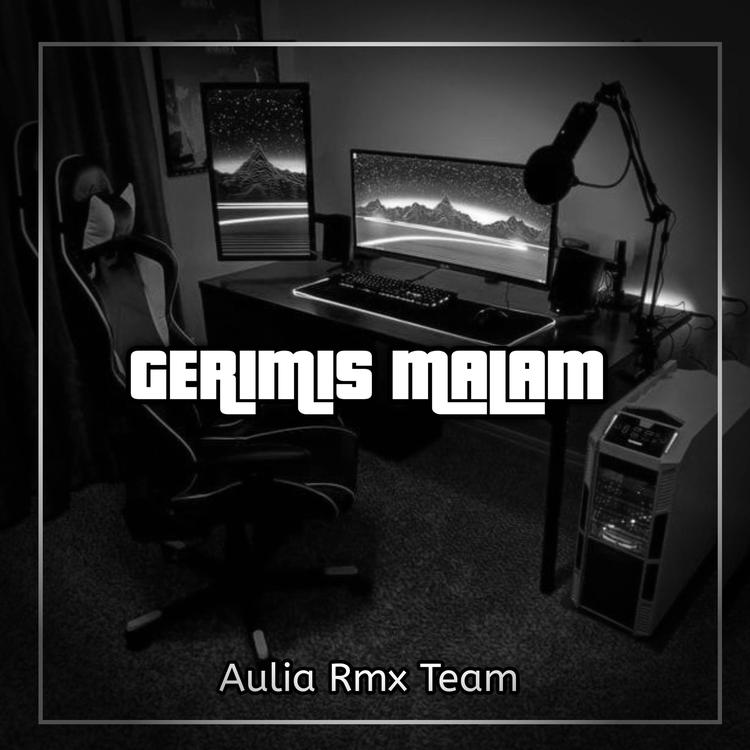 Aulia Rmx Team's avatar image