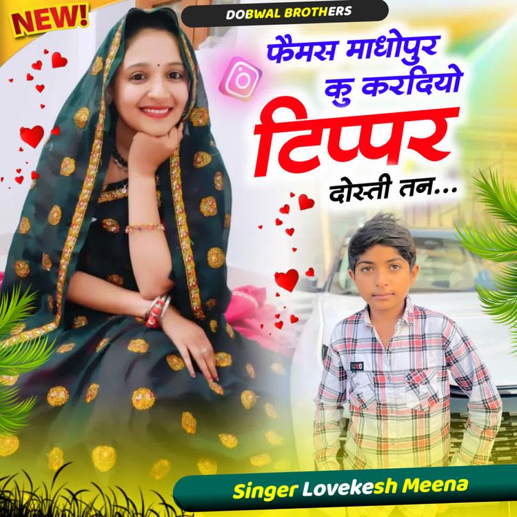Lovekesh Meena's avatar image