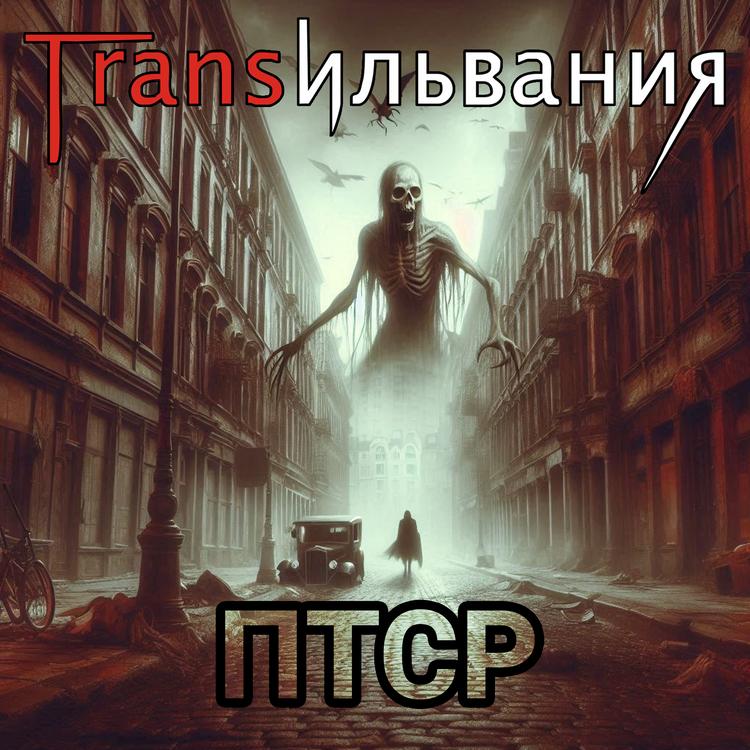 Трансильвания's avatar image