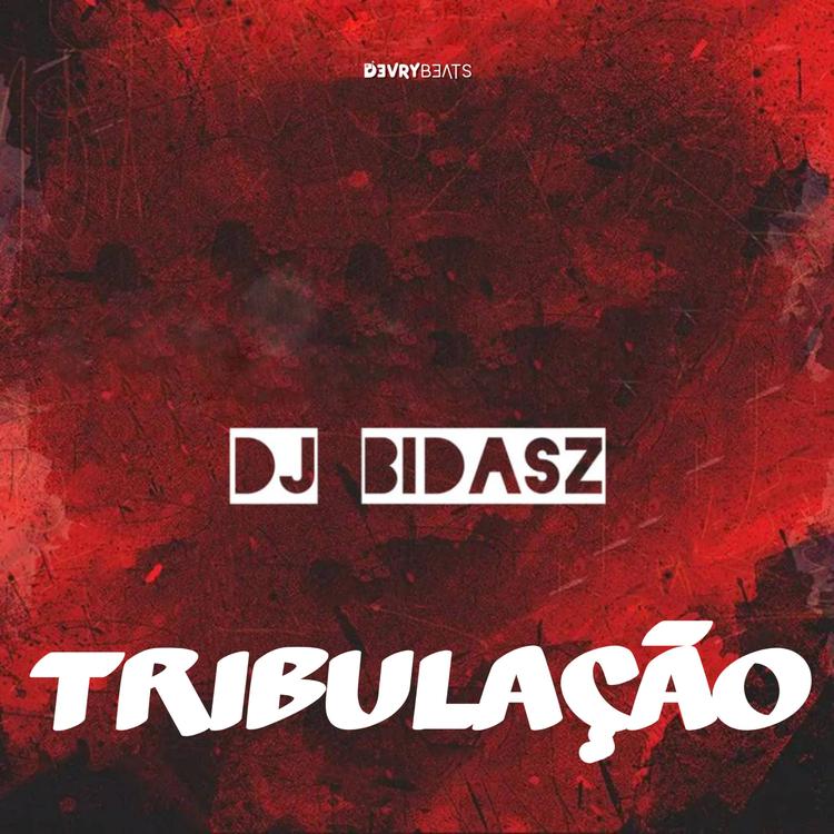 DJ Bidasz's avatar image