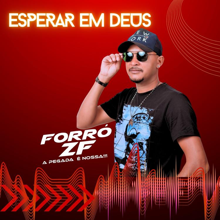 FORRÓ ZF's avatar image