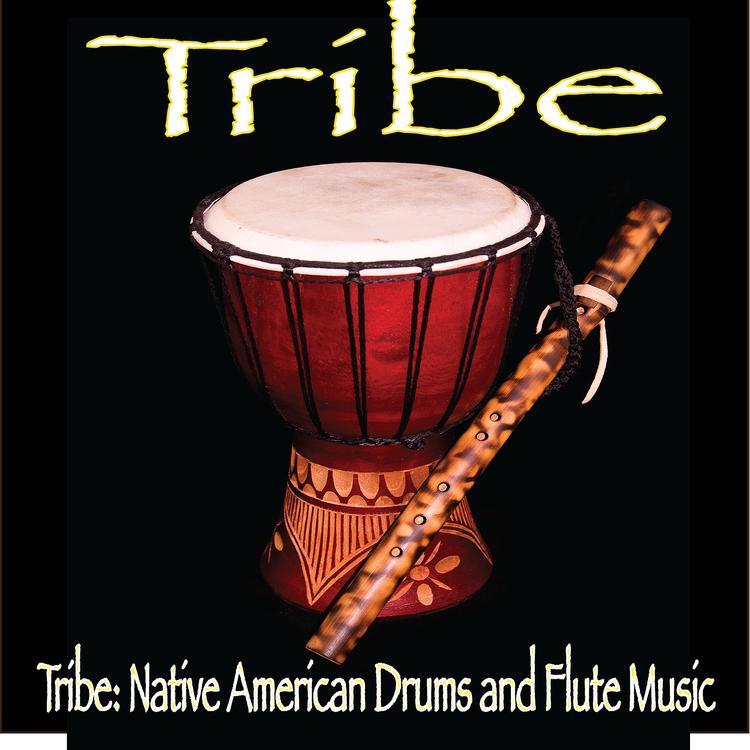 Tribe: Native American Drums and Flute Music's avatar image