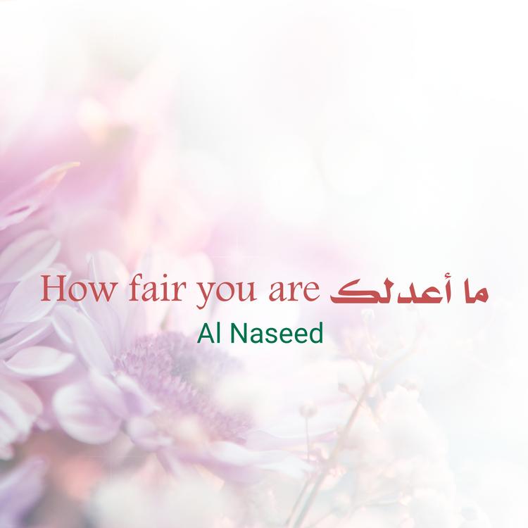 Al Naseed's avatar image