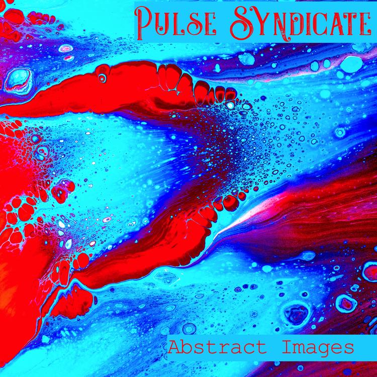 Pulse Syndicate's avatar image