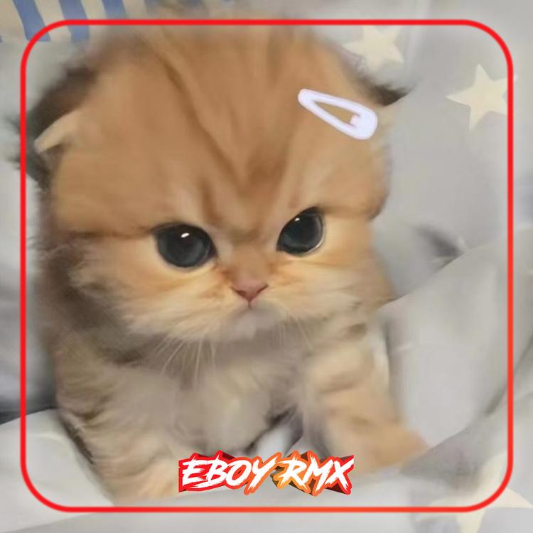 EBOY RMX's avatar image