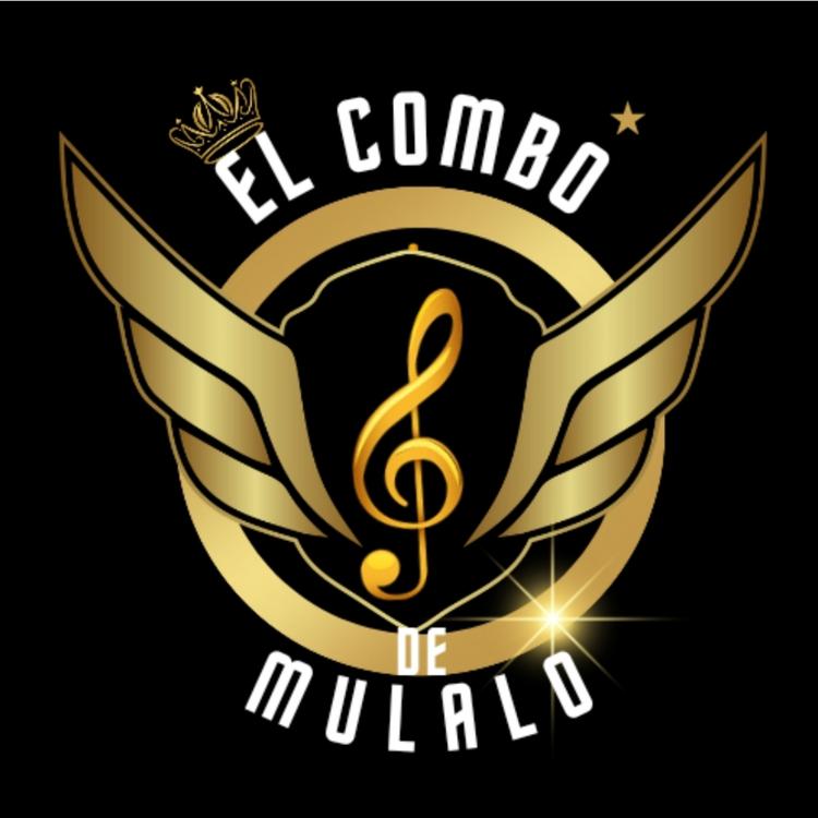 el combo de mulalo's avatar image