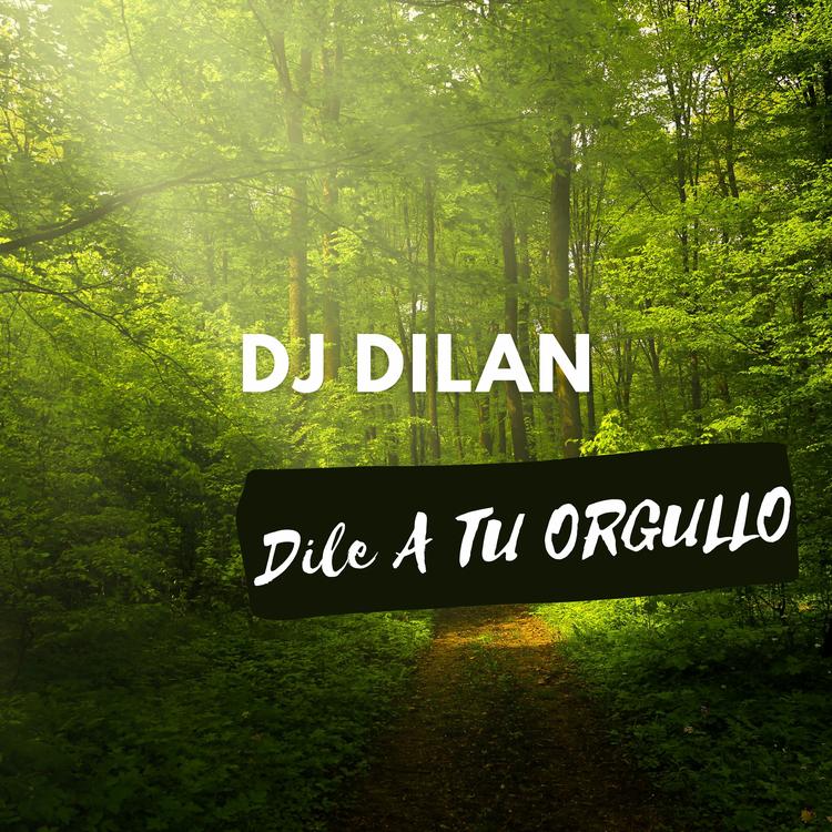 DJ dilan's avatar image