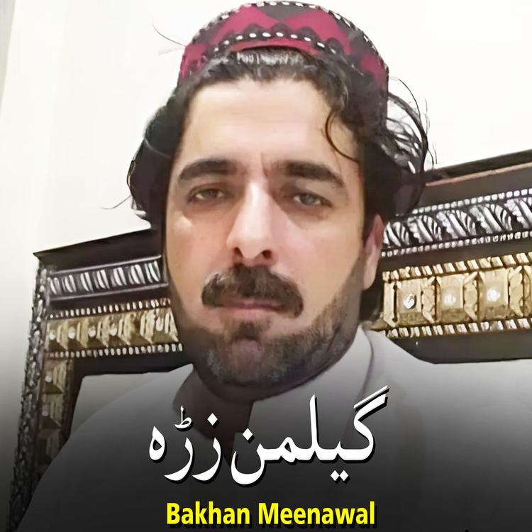 Bakhan Meenawal's avatar image
