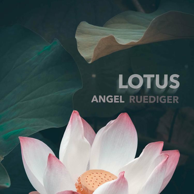 Angel Ruediger's avatar image