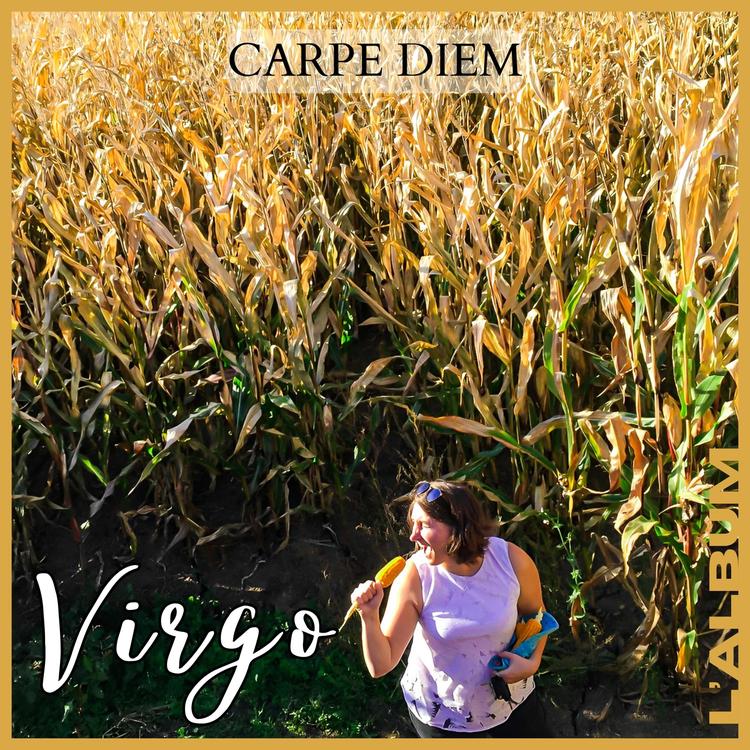 Virgo's avatar image