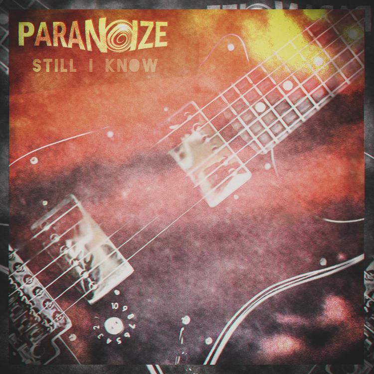 Paranoize's avatar image