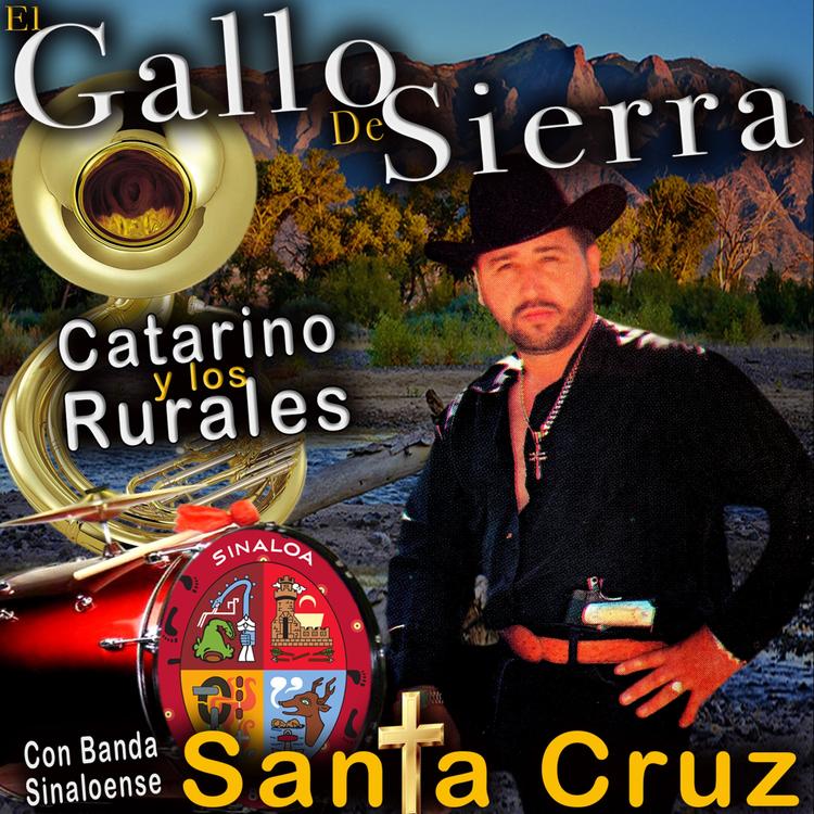 El Gallo De Sierra's avatar image