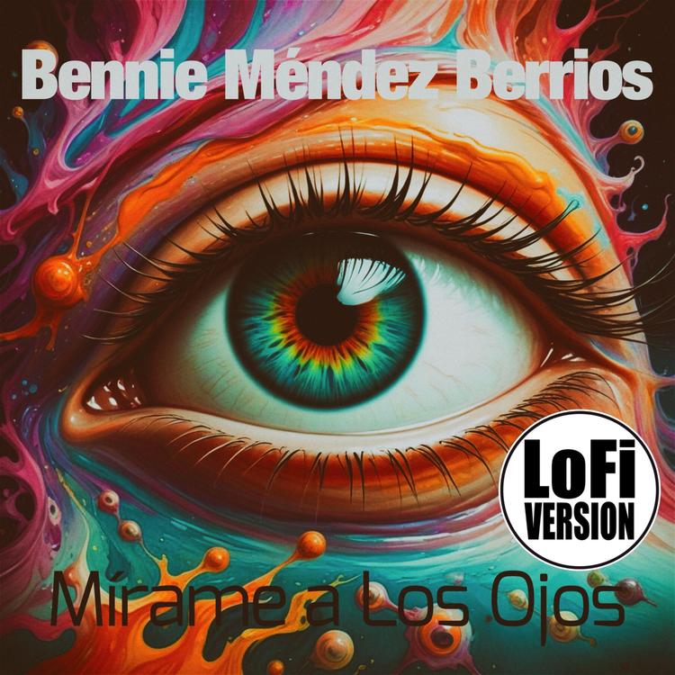 Bennie Méndez Berrios's avatar image