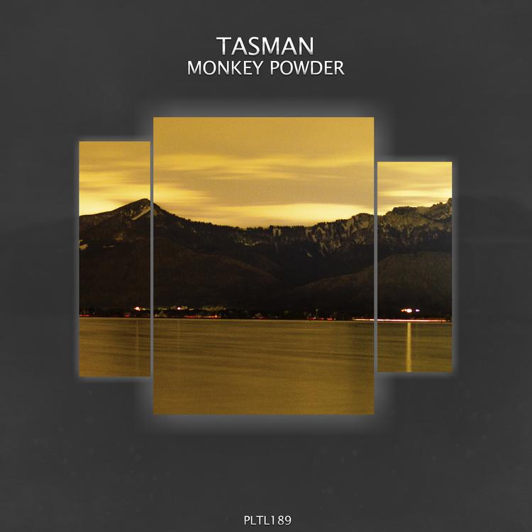 Tasman's avatar image