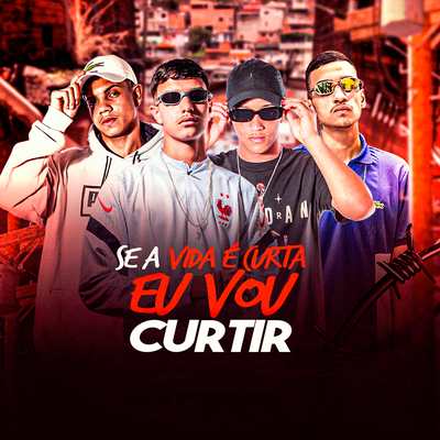 Se a Vida É Curta Eu Vou Curtir's cover