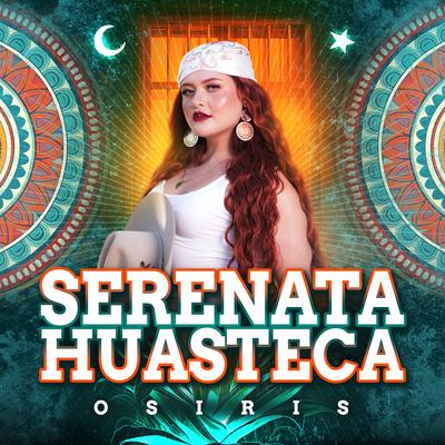 Serenata Huasteca (Banda)'s cover