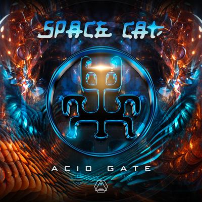 Acid Gate By SpaceCat's cover