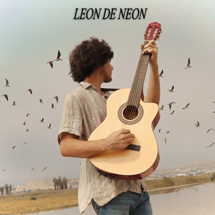 Leon de Neon's avatar image