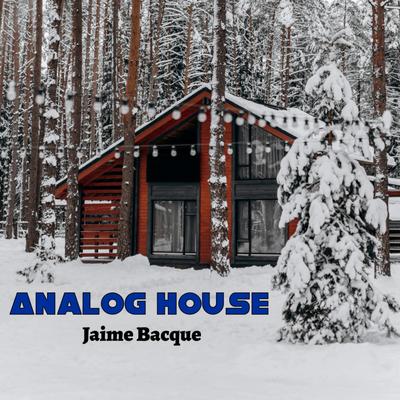 Analog House's cover